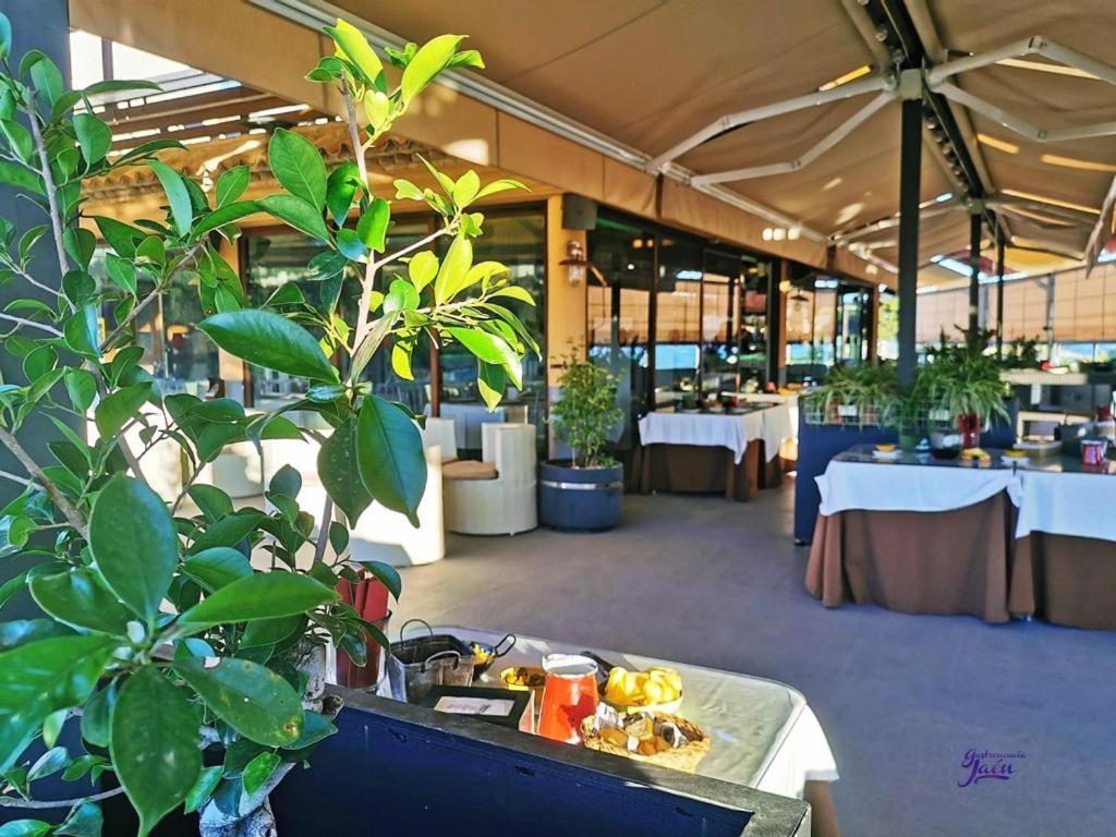 Hotel Campos De Baeza Εξωτερικό φωτογραφία
